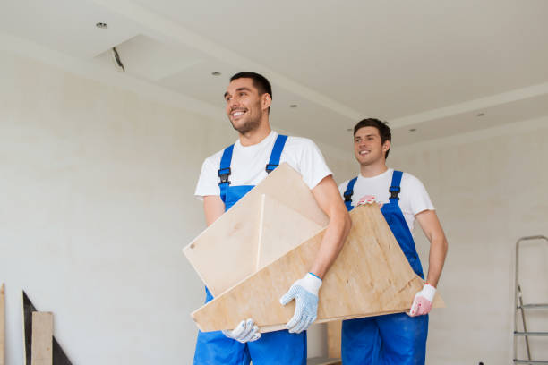Best Shed Removal  in Ipswich, SD