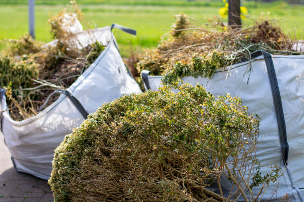 Best Furniture Removal  in Ipswich, SD