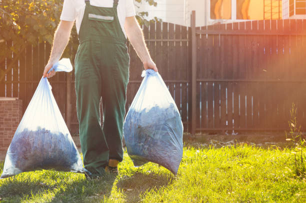 Best Demolition Debris Removal  in Ipswich, SD